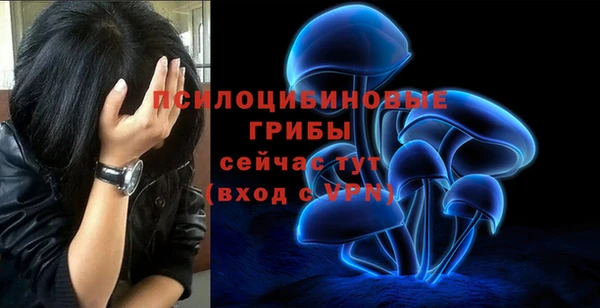 хмурый Алексеевка