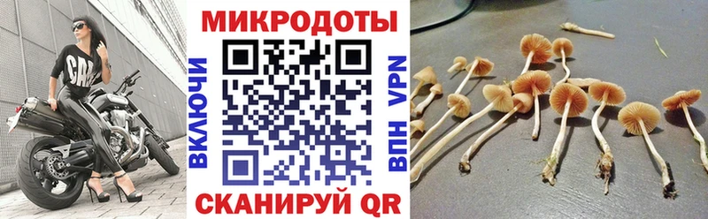 Псилоцибиновые грибы ЛСД  Купить где  Белинский 